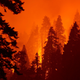 A view of last year's Castle Fire.